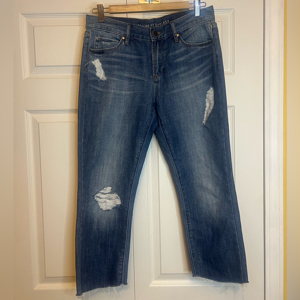 Articles of Society Shannon Slim Straight Ensign size 27 Raw Hem Distressed